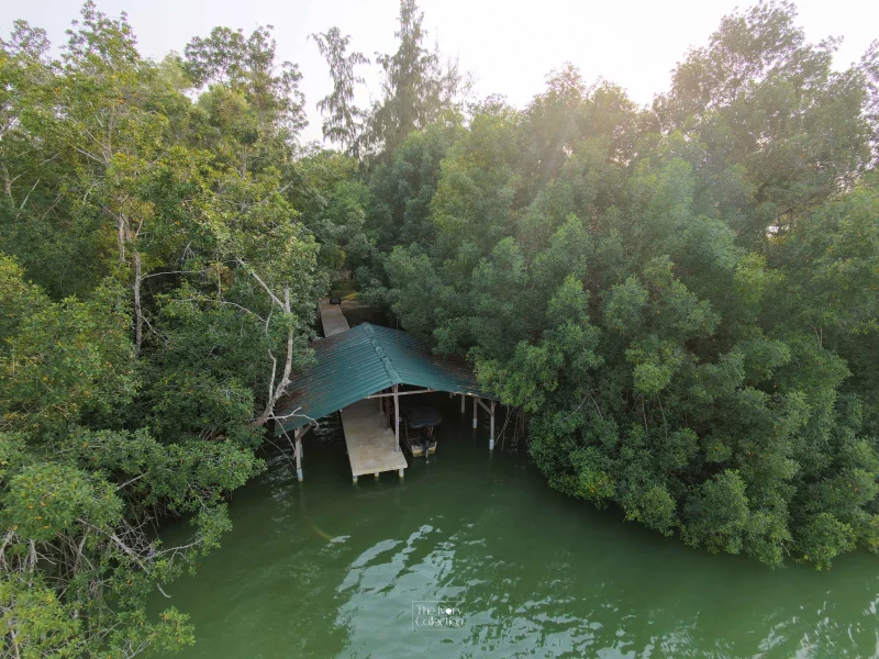 Villa Passinia - Photo 11